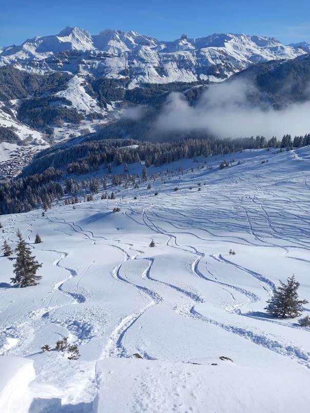 Une image contenant plein air, neige, nature, hiver

Le contenu généré par l’IA peut être incorrect.