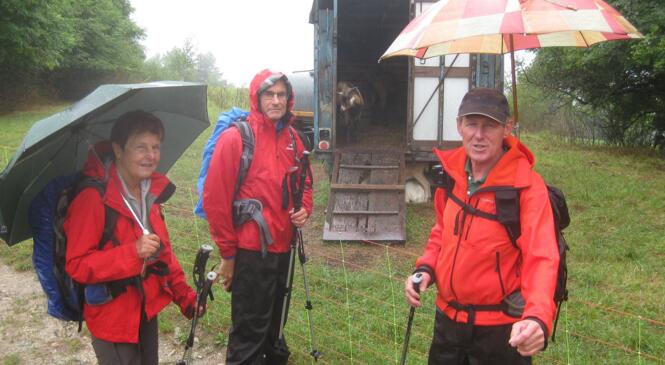 Que faire quand la météo annonce "pluie toute la journée" ?.... prenons des parapluies image article