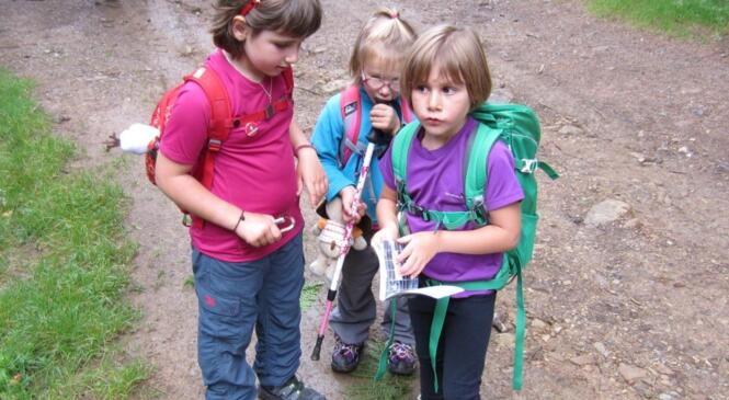 Randonnée bivouac et myrtilles au Cret Luisard, dans le massif de Belledonne image article