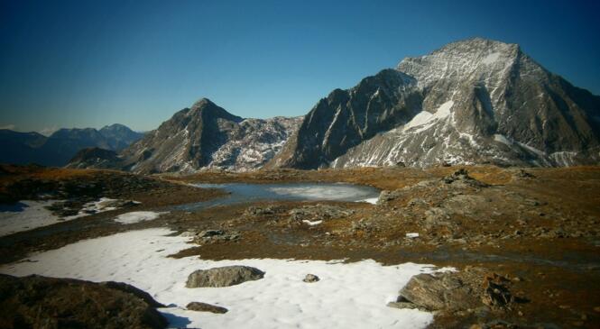 L'intégration des zwhénos, retour en vidéo ! image article