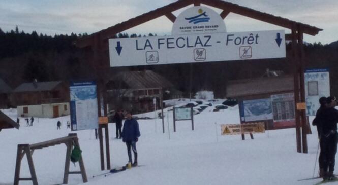 Programme ski de fond image article