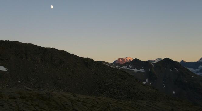 Nuit des refuges image article