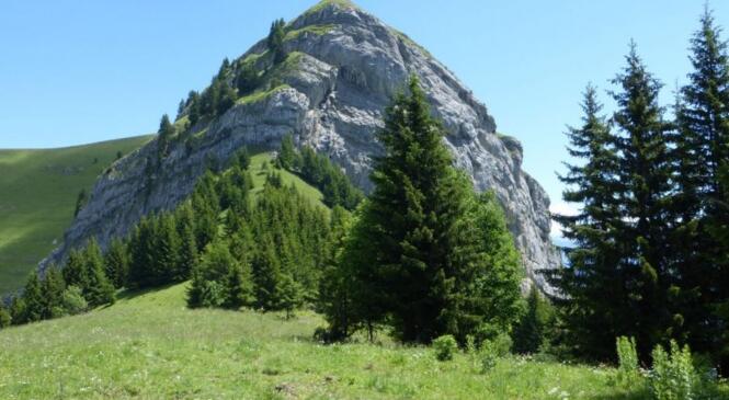 De nouvelles sorties estivales avec le Parc des Bauges image article