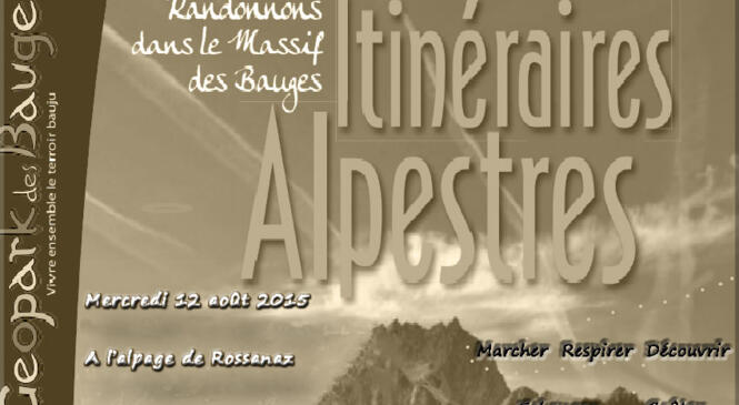 Itinéraires Alpestres au Parc des Bauges : marcher, respirer, découvrir, goûter, échanger image article