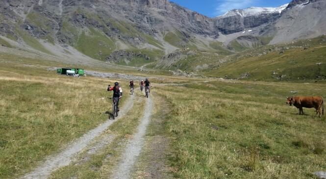 RV2M2015 : "Dolce via" ou le grand tour du propriétaire image article
