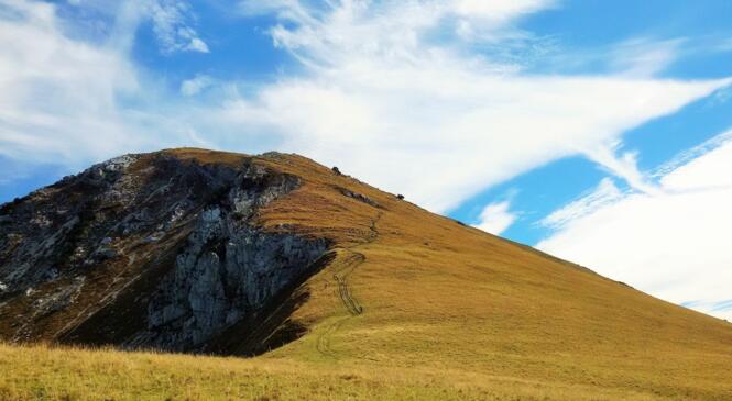 Partenariat Parc des Bauges / CAF Chambéry : une histoire faite pour durer image article
