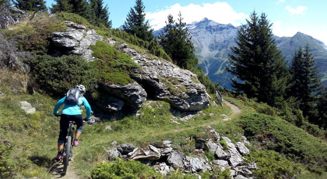 Mise à disposition Publique des topos vtt du Rassemblement vélo2Montagne 2015 image article