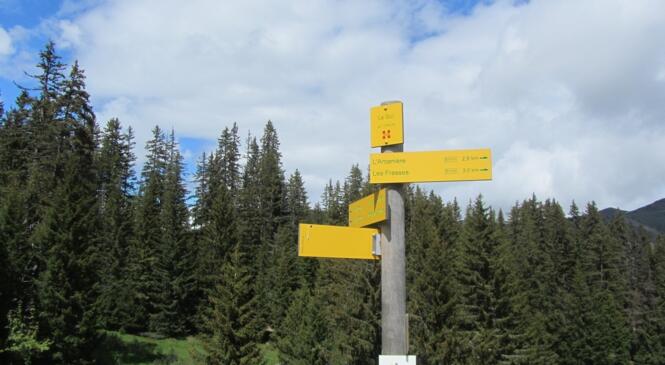 Sortie 4 saisons à Notre Dame de Bellecombe image article