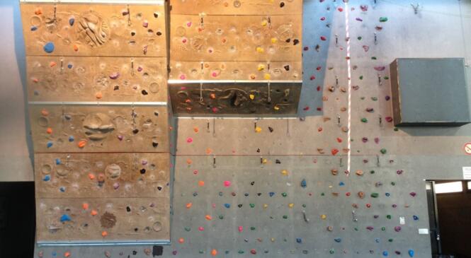 Escalade : cycles d'initiation image article