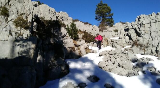 Attention aux glissades ! image article