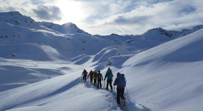 Ô, la neige ! image article