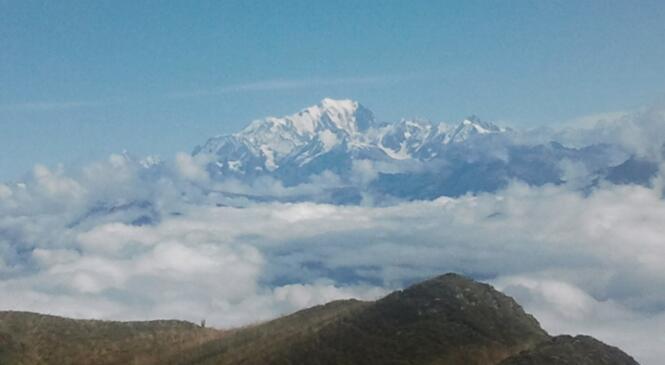 Au Grand Roc: chiens caressés, berger courroucé image article