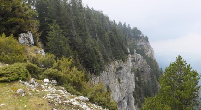 MONT OUTHERAN boucle Nord en mode « Hors sentiers » !! image article