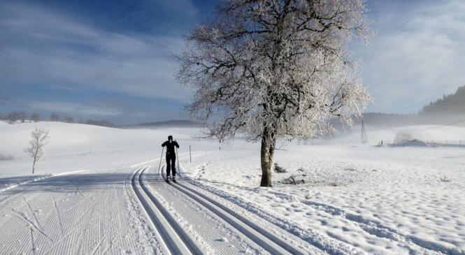 Présentation saison de ski nordique image article