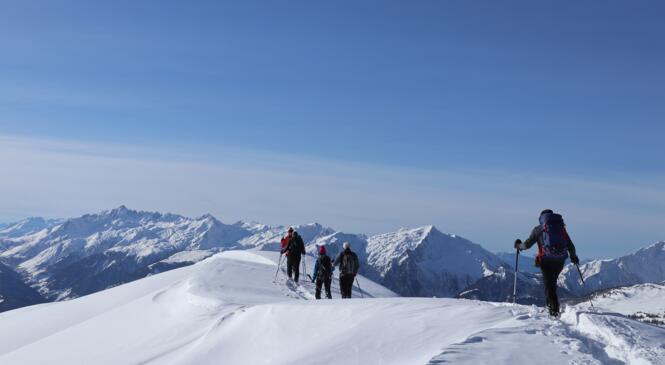 Raquettes, Neige et Soleil  image article