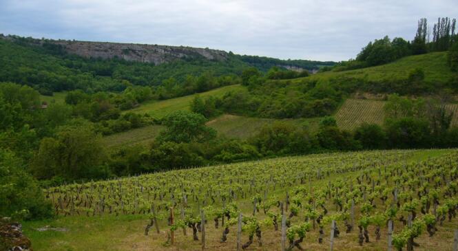 A la découverte des falaises bourguignonnes image article