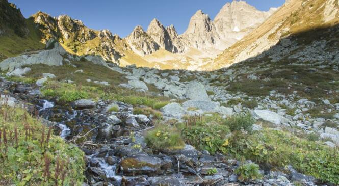 Myrtilles, lac, couloir et rocher au pic du Frêne image article