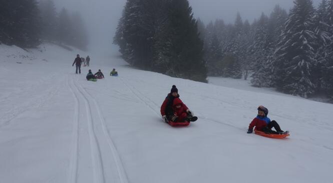En luge au Revard pour profiter des premières neiges image article