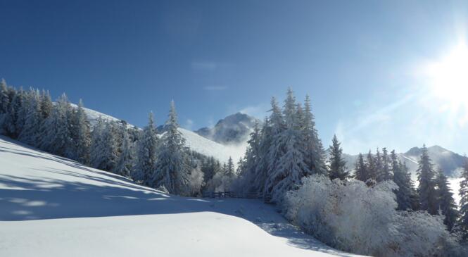 Une occasion de plus de découvrir le ski de randonnée image article