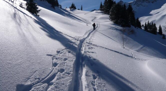 Formation Neige Avalanche 1 image article