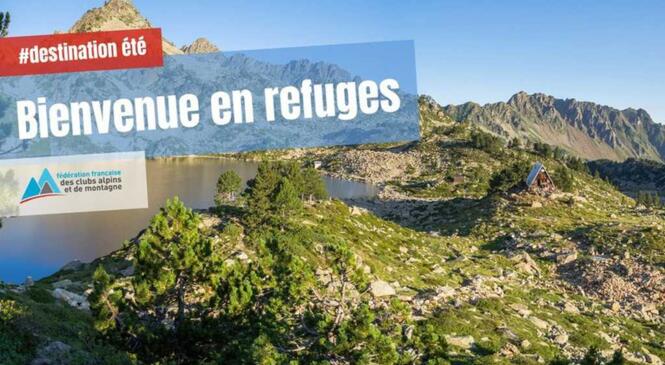 Le plaisir du refuge en toute sérénité ! image article