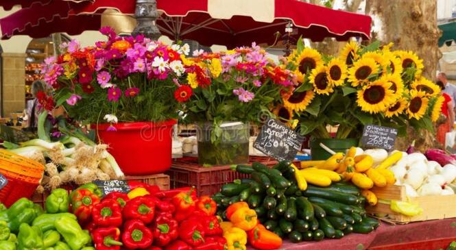 Octobre en Provence image article