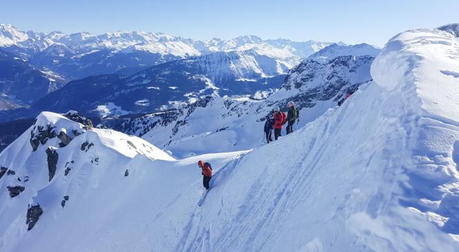 SDR Cycle perf - C'est parti! image article