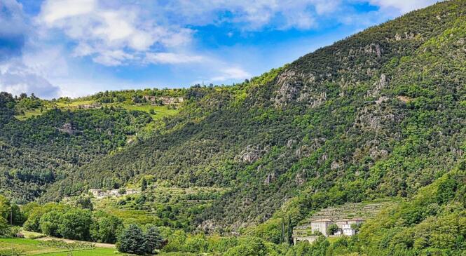 Tour Tanargue et Montagne Ardéchoise image article