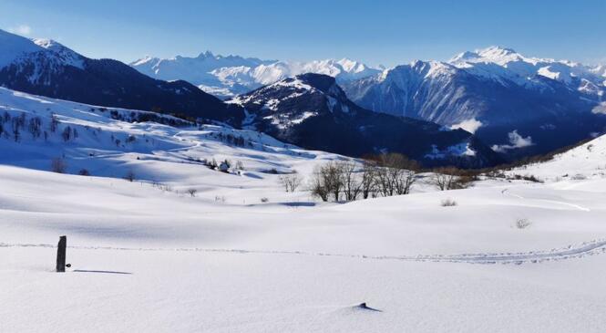 2 jours face au Thabor image article