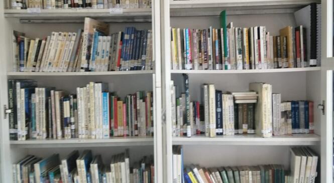 La bibliothèque des topos est ouverte image article