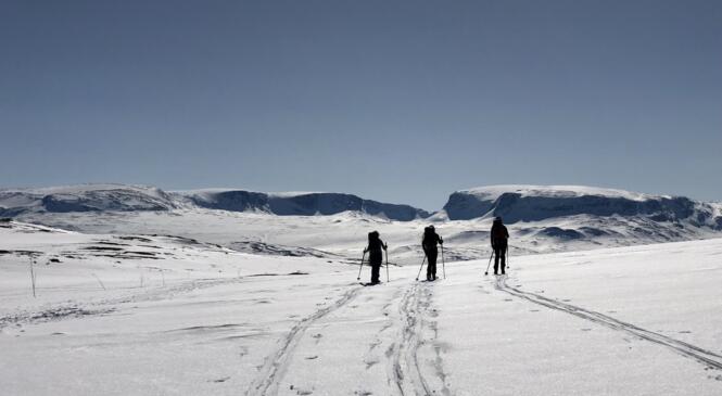 Places disponibles Tromso 2023 image article