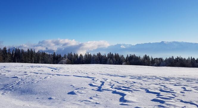 Vercors ou Grand Nord ? image article