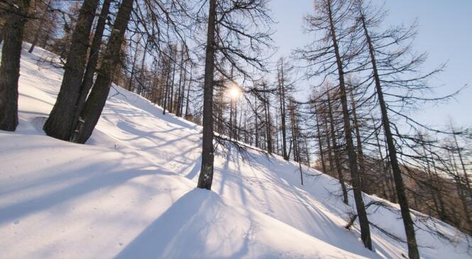 Trois jours dans le Queyras (en vrai, trois et demi) pour faire parler la poudre ! image article