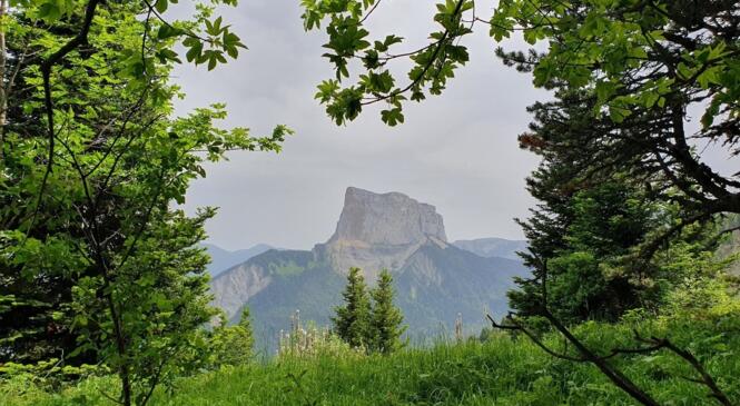 3 jours au pied du Mont Aiguille image article