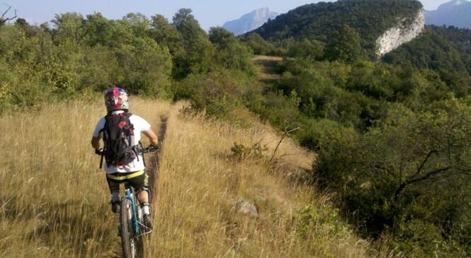 VTT, le remède anti crise ! image article