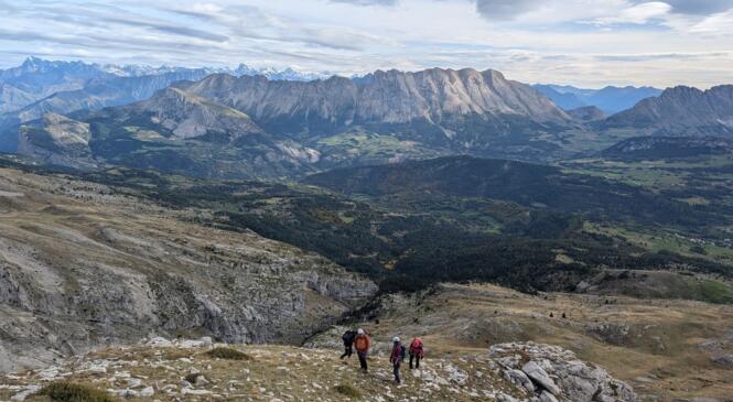 La Rando Alpinisme en terrain à chamois image article