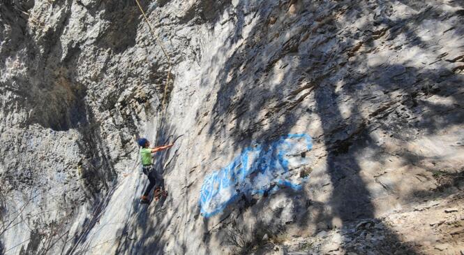 Le dry tooling, un sport de sanglier ? image article