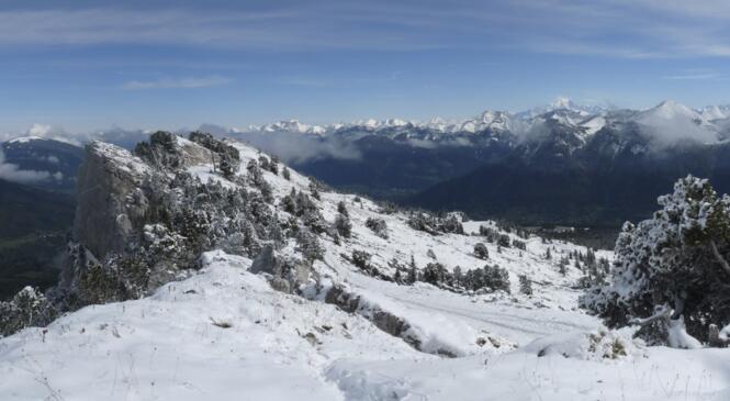 Premières neiges dans les Bauges image article