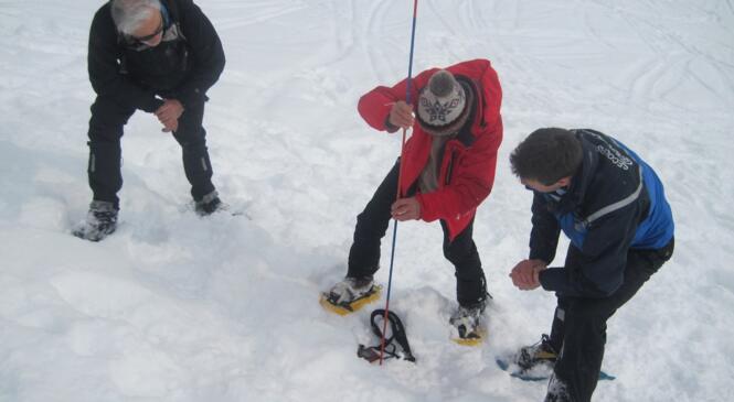 Recherche de victimes d’avalanche image article
