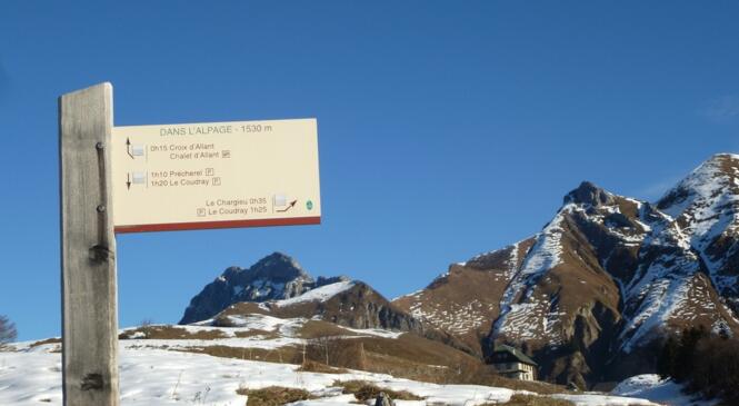 Compte rendu de 2 sorties raquettes: Passage de Plan Mollard et Praz Vechin image article