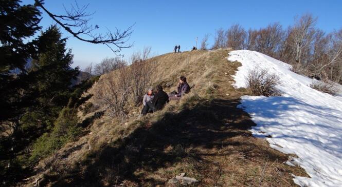 Rando sans raquettes au Mont Joigny  image article