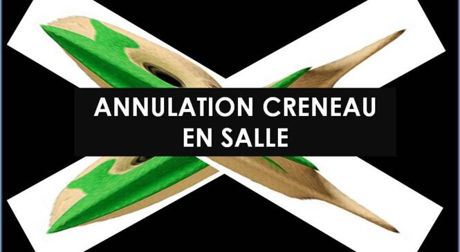 Annulation créneau SAE à Montmélian image article