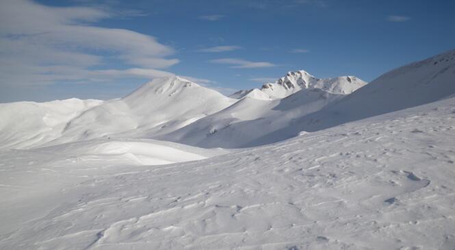 Pointe de Dzonfié image article