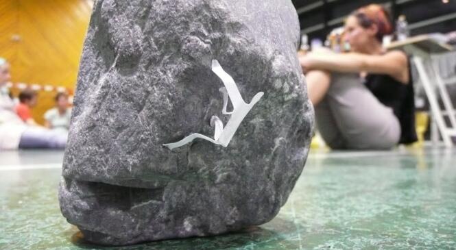 Dimanche 2 mars : accès à Vertilac à prix réduit image article