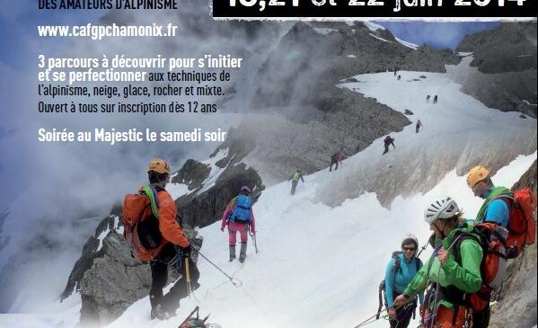 image article