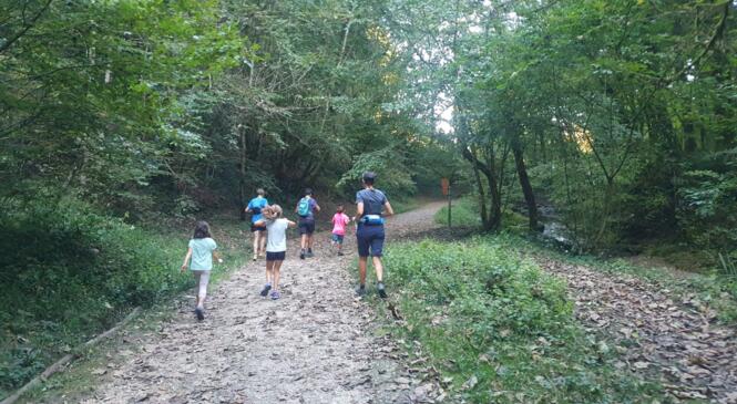 CR de la 1iere sortie Tribu Trail par Antonin image article
