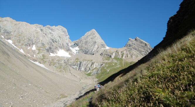 Les Aiguilles d'Arves image article