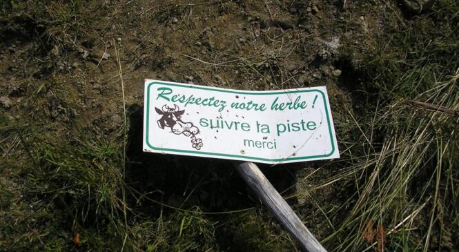 Conférence : Une histoire des voies de communication en pays de montagne - Mercredi 21 janvier à 20h00 au Cairn image article