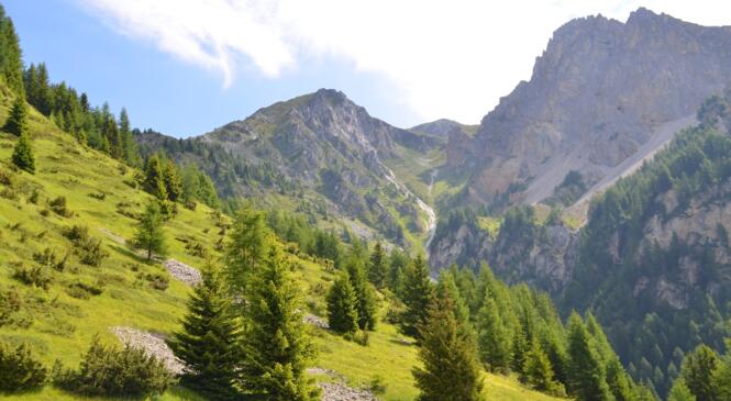 Week-end Pastoralisme au refuge du Mont-Pourri: En images! image article