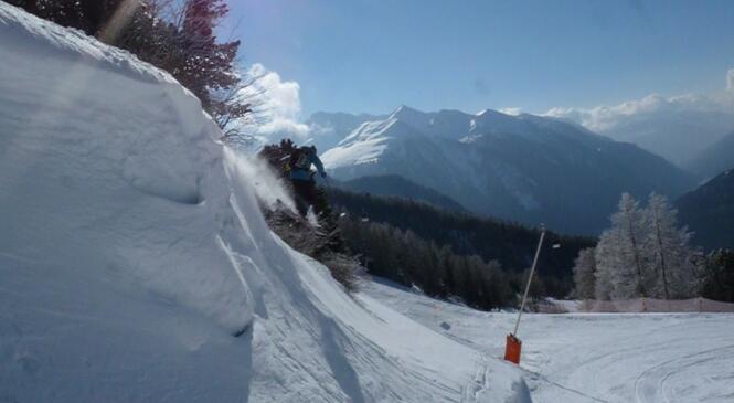 BAFA approfondissement - Ski et Snowboard image article